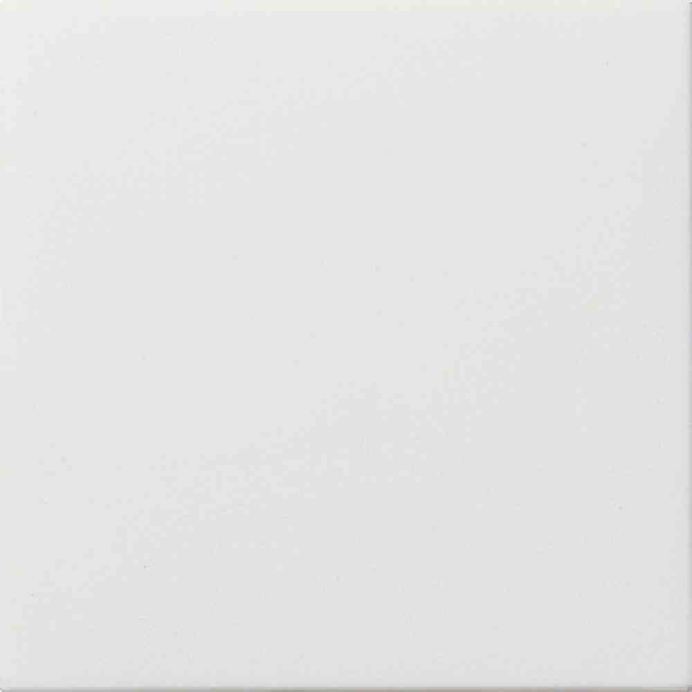 Gira Blindabd. Tragring Flächenschalter Reinweiß Gira Blindabd. Tragring Flächenschalter Reinweiß