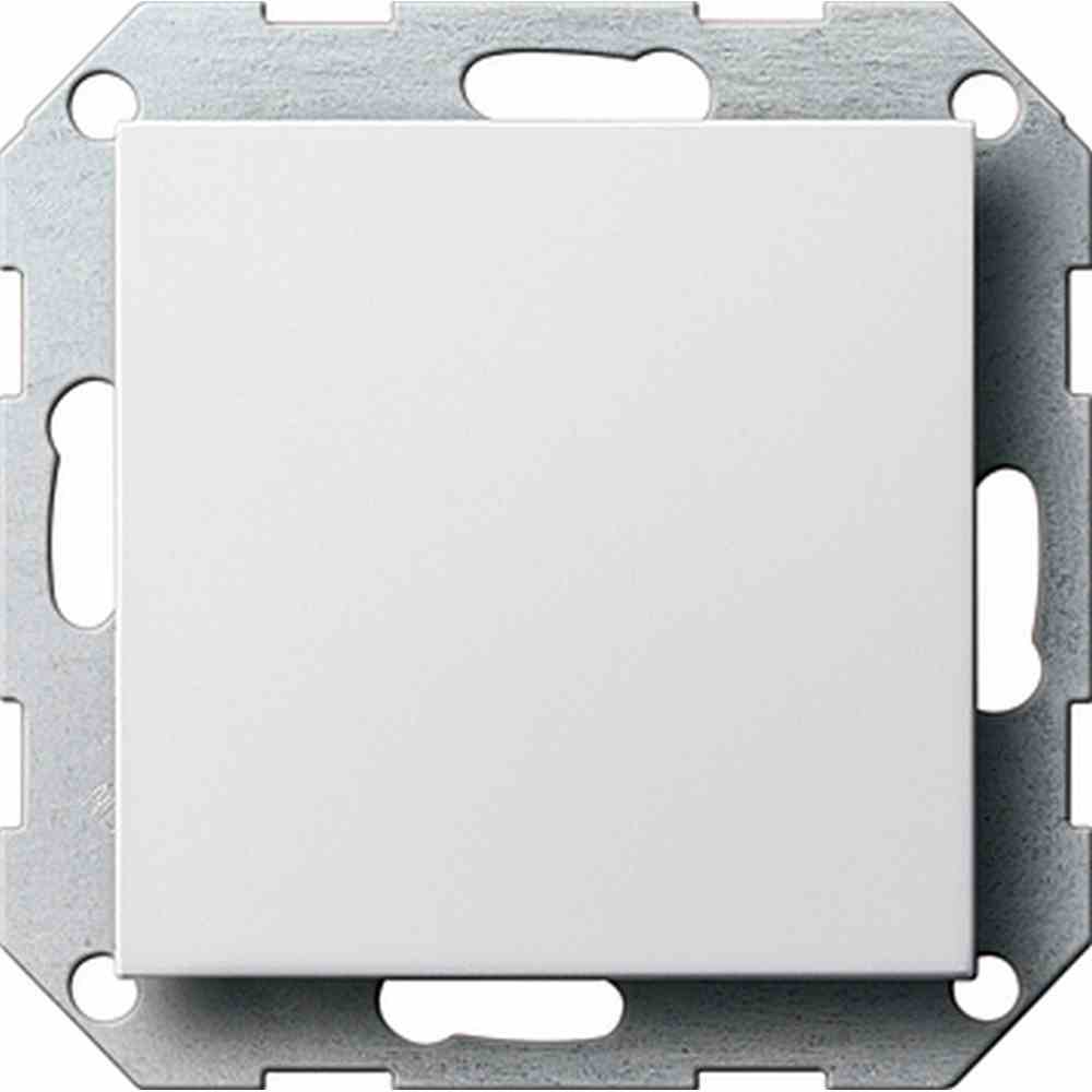 Gira Blindabd. Tragring System 55 Reinweiß m