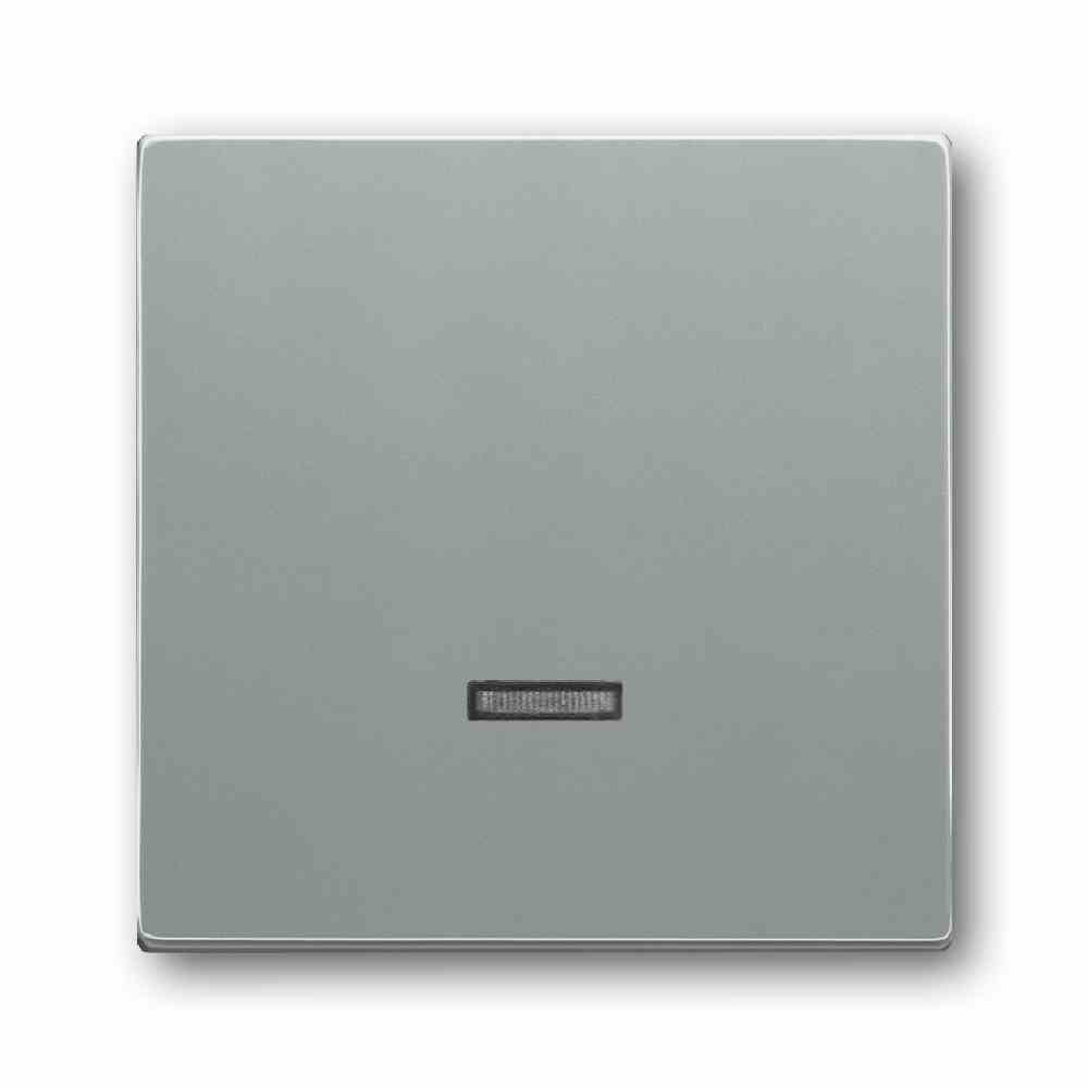 BUSCH-JAEGER Taste einteilig, Schalter/Dimmer, aluminium-silber, matt, ohne ISO Aufdruck, Kontrollfenster/Lichtauslass – 6543-83-101