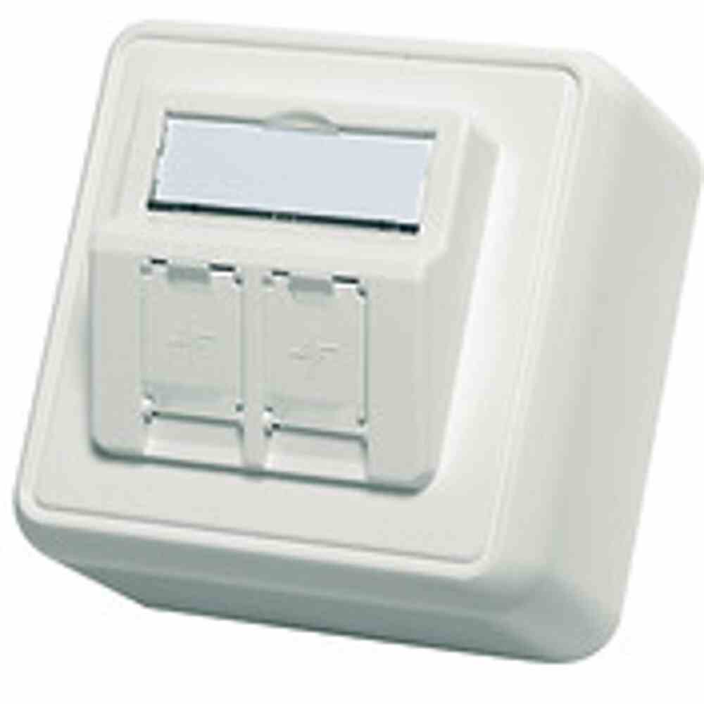 TELEGÄRTNER Modulaufnahme, Aufputz, 2f, alpinweiß, Schneidklemm, mit Staubschutz – H02000A0092