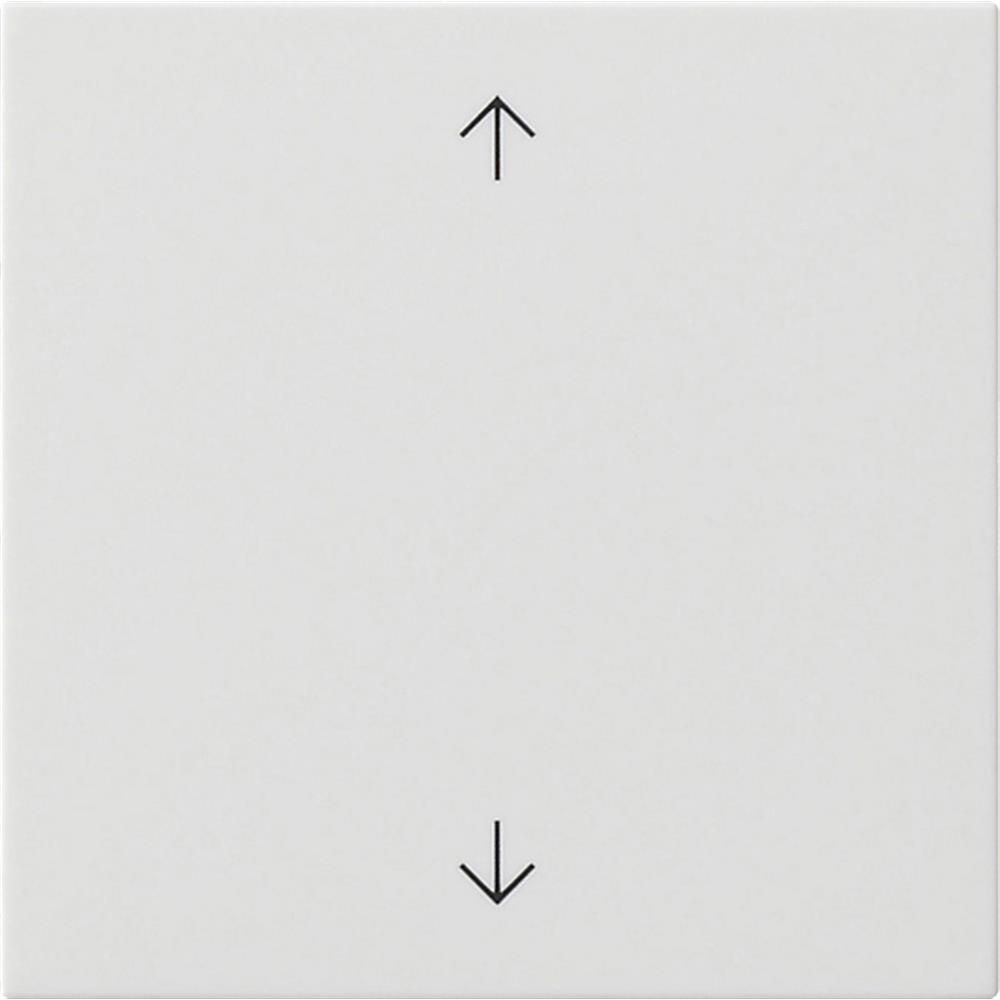 GIRA System 55 Wippe einteilig, Schalter/Taster, reinweiß, glänzend, Symbol Pfeile – 538903