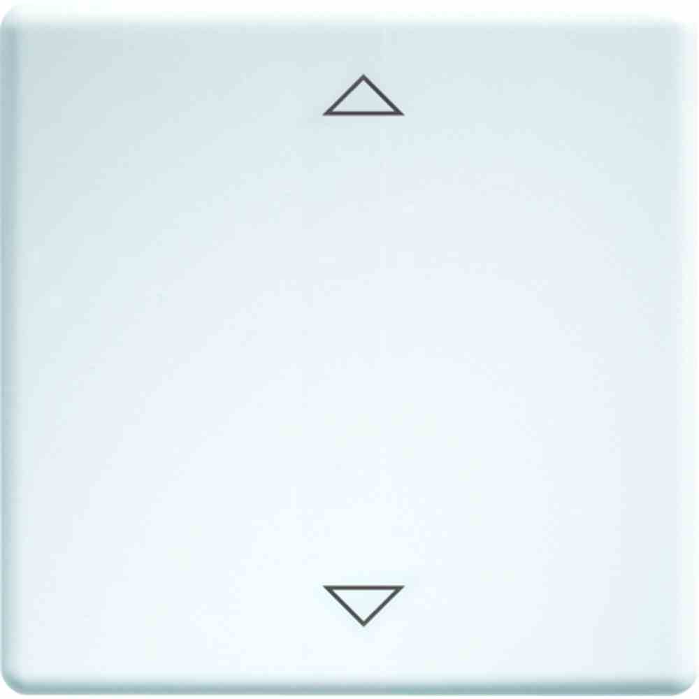 ELTAKO einteilige Wippe, Schalter/Taster, reinweiß, glänzend, Symbol Pfeile – W-FT55-wg+2P